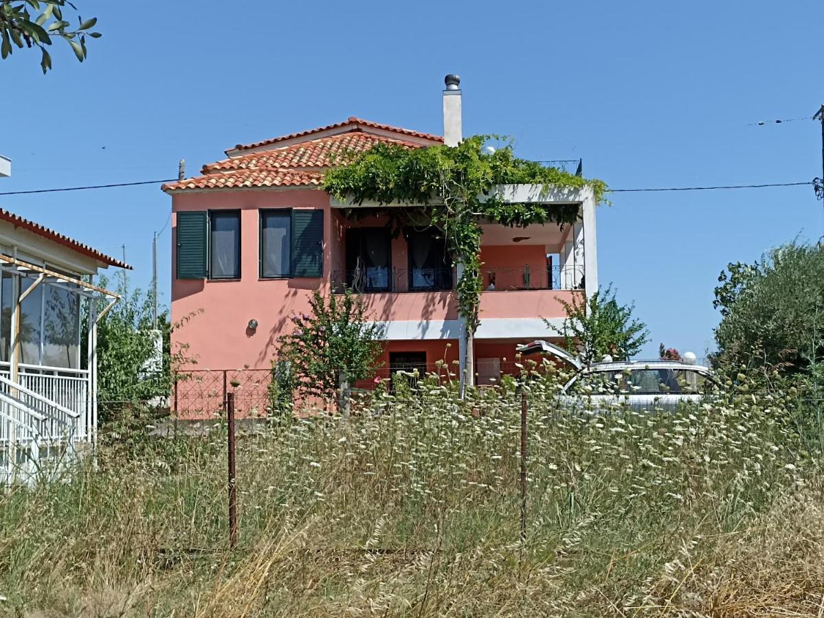 Olgas Villa Arogi المظهر الخارجي الصورة
