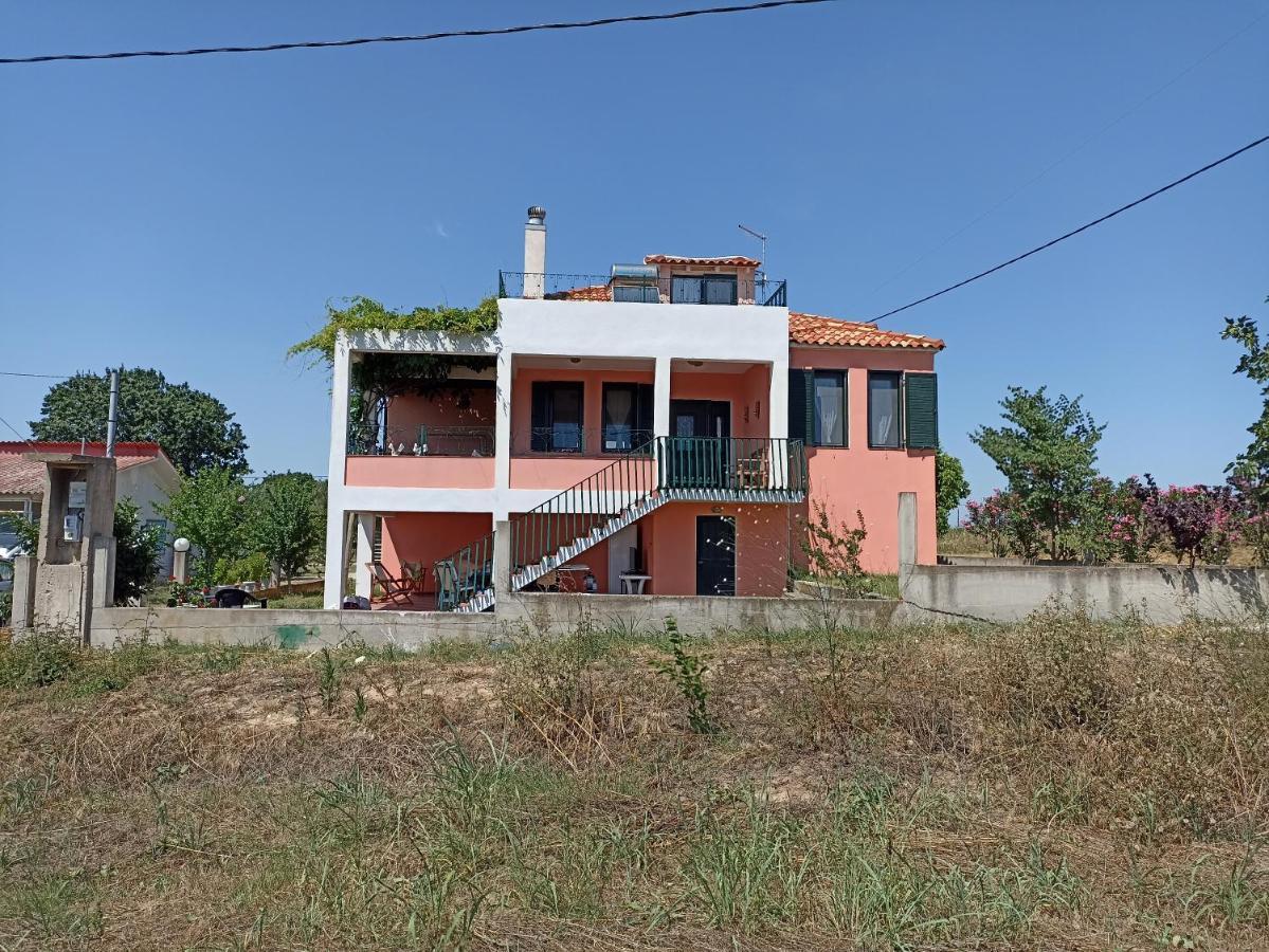 Olgas Villa Arogi المظهر الخارجي الصورة