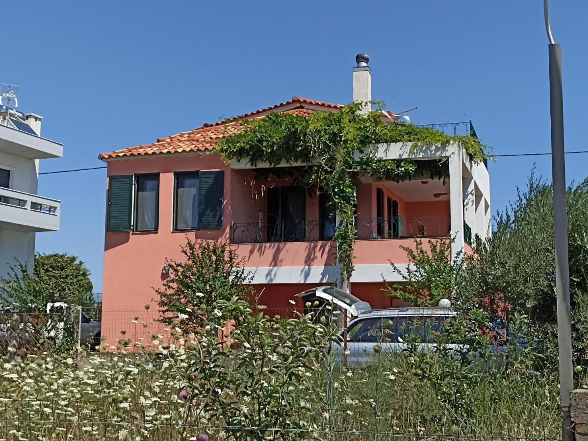 Olgas Villa Arogi المظهر الخارجي الصورة